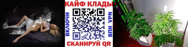 Где купить Аша кракен ССЫЛКА  Cocaine  Меф мяу мяу  Марихуана  ГАШИШ  СК 