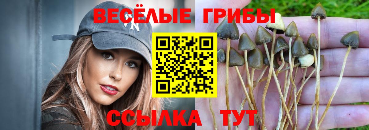 Псилоцибиновые грибы ЛСД Аша