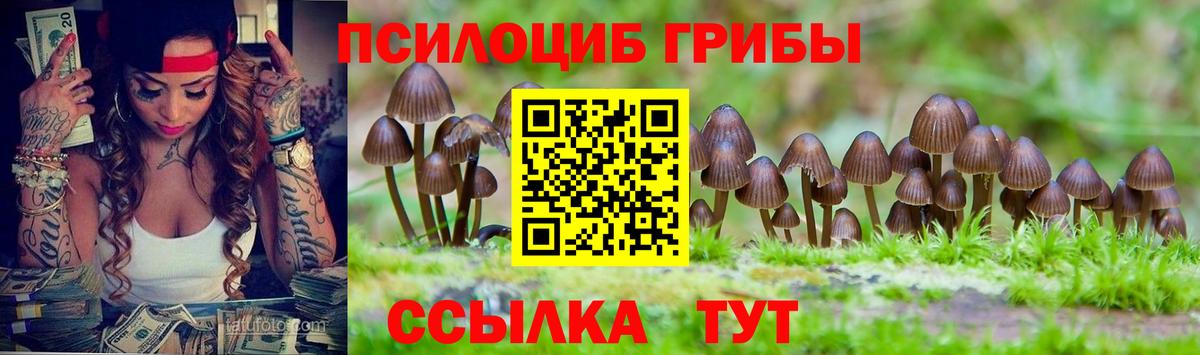 Аша  Псилоцибиновые грибы MAGIC MUSHROOMS  наркота  Вход с VPN 